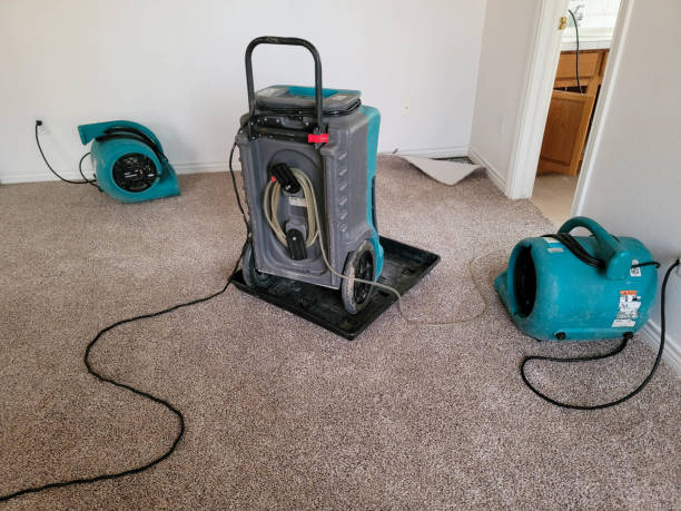 Best 24-hour water damage restoration  in St Francis, MN