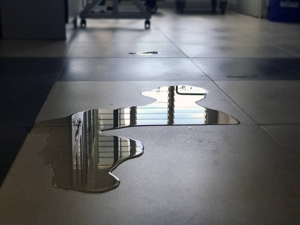 Best Local water damage restoration  in St Francis, MN