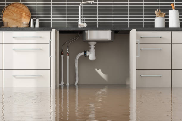 Best Flood restoration services  in St Francis, MN