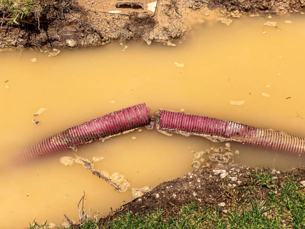Best Water damage contractors near me  in St Francis, MN